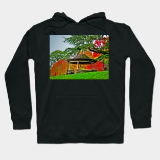 Fall at its Best Hoodie